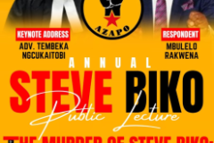 Annual-Steve-Biko-Public-Lecture-2024